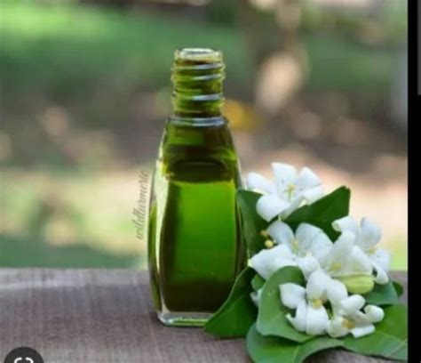 Natural Bhringaraj Oil at Rs 550/bottle | New Sneh Nagar | Nagpur | ID: 22255624730