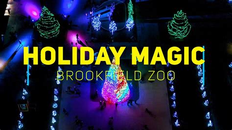 Brookfield Zoo Christmas Lights Hours | Shelly Lighting