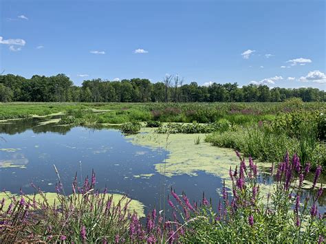 Summer | New Jersey Weather and Climate Network