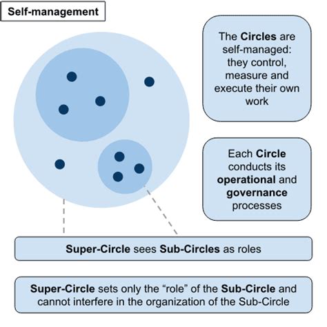 Holacracy: Quick Beginner's Guide - Target Teal