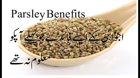 Parsley Seeds In Urdu