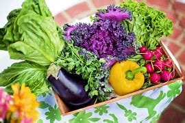 Chinese Cabbage Salad Leaf Lettuce - Free photo on Pixabay