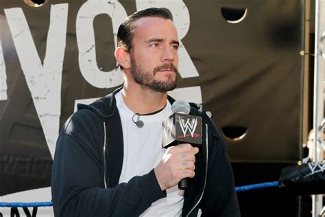 Former WWE star CM Punk’s UFC debut delayed, to have back surgery - Sports Illustrated