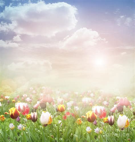 Easter Spring Background Digital Art by Mythja Photography