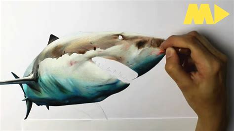 Drawing A Shark - HYPER REALISTIC ART with COLORED PENCILS | Time Lapse - YouTube