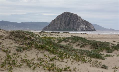 Morro Strand State Beach, Morro Bay, CA - California Beaches