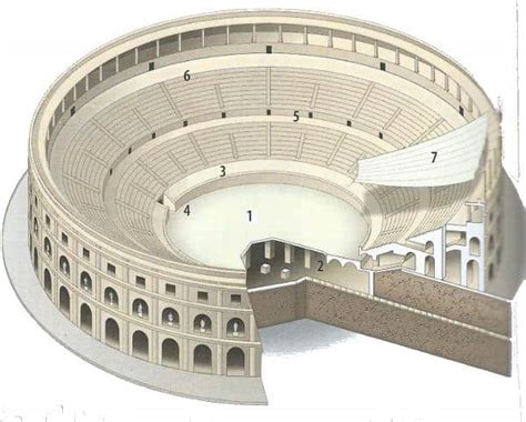 Differenza tra teatro e anfiteatro romano - Arte - Studia Rapido