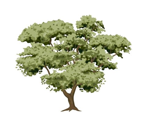 Premium Vector | Tree Vector Forest Plant Vector Illustration