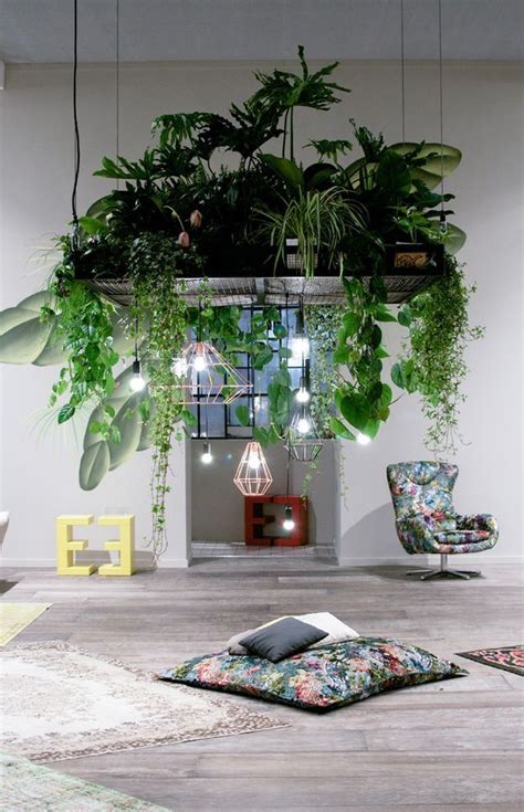 What a beautiful combination of lights and plants! | Plant decor indoor, House plants indoor ...