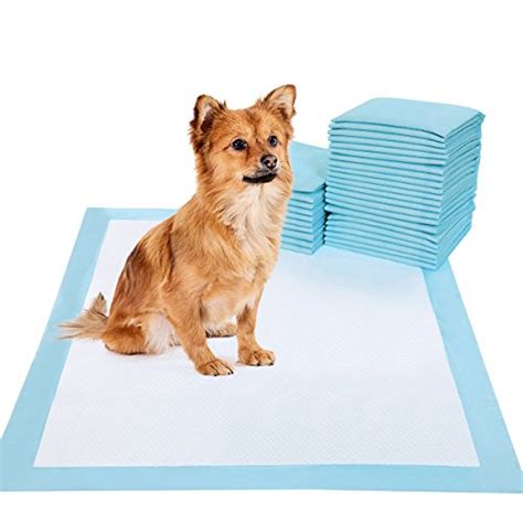 puppy pads publix - Best Family Pets