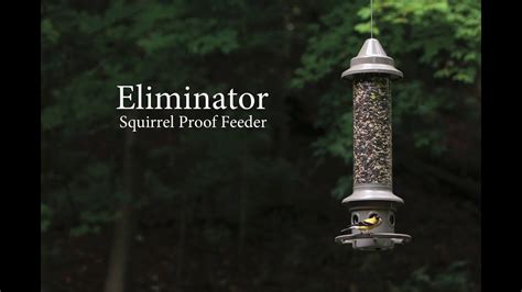 How to Assemble or Reassemble Your Wild Birds Unlimited Eliminator Squirrel-proof Feeder - YouTube