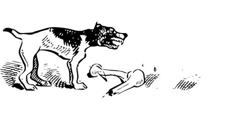 SVG > paw wild puppy fighting - Free SVG Image & Icon. | SVG Silh