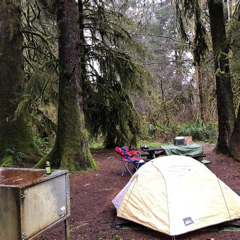 Solo camping in Redwoods State Forest : camping