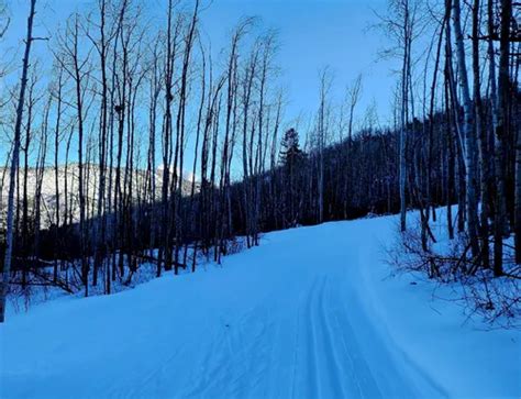 Best Skiing Trails in Carbondale | AllTrails