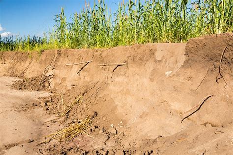 Malawi Floods, 2015 - Stock Image - C030/0922 - Science Photo Library