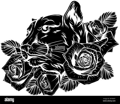 Black Silhouette Of Panther vector illustration design Stock Vector Image & Art - Alamy