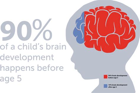 Brain Development – Royal Education