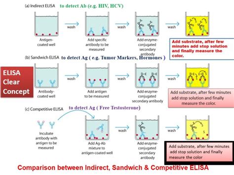 Interfering Factors of ELISA Test Results Archives - Medical Notes