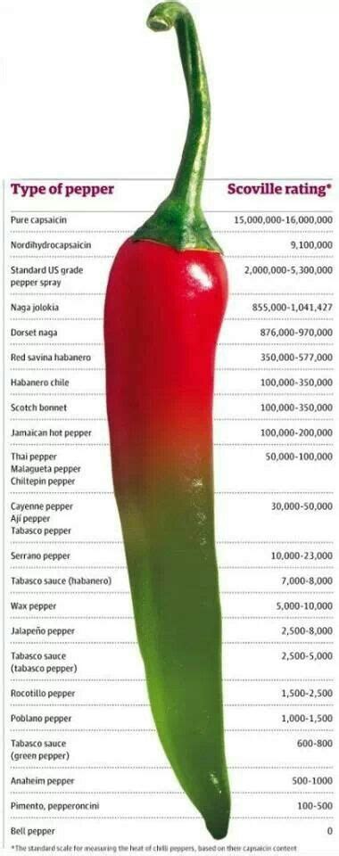 Peperoncino | Stuffed peppers, Stuffed hot peppers, Chilli recipes