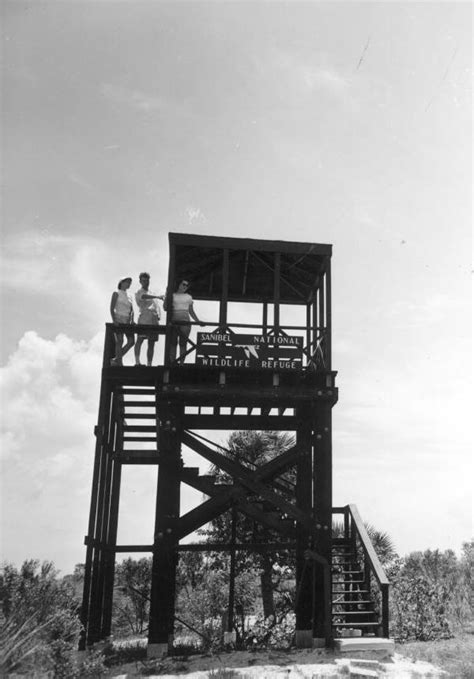 Florida Memory • Visitors standing on a birdwatching tower at the ...