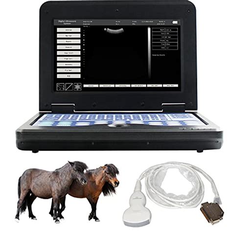 Best Ultrasound Machine For Dogs