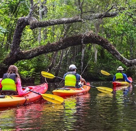 THE 15 BEST Things to Do in Fernandina Beach - 2024 (with Photos) - Tripadvisor