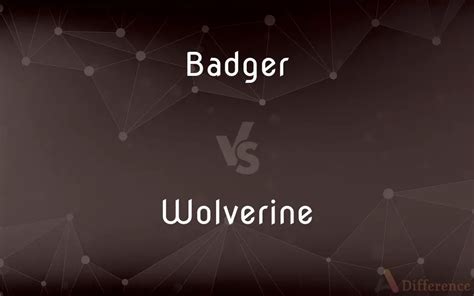 Badger vs. Wolverine — What’s the Difference?