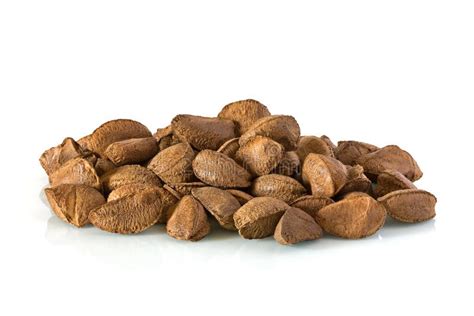 Brazil nuts stock photo. Image of harvest, seeds, heap - 8034466