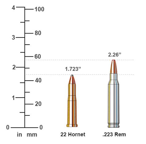 22 Hornet vs 223 Rem Ballistics Comparison | Sportsman's Warehouse