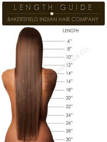 Photo Gallery Hair Length Guide Hair Color Chart Beauty Supply Hair ... | Hair length guide ...