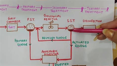 Flow sheet of Sewage Treatment Plant/Flow Diagram of Wastewater Treatment Plant - YouTube