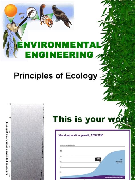 Principles of Ecology | PDF | Ecology | Ecosystem