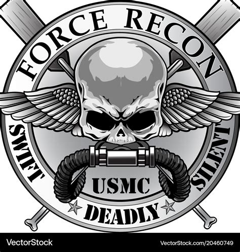 Usmc force recon Royalty Free Vector Image - VectorStock