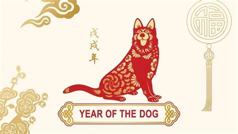 Chinese Zodiac 2018: The Year Of The Dog And What It Means - DogTime