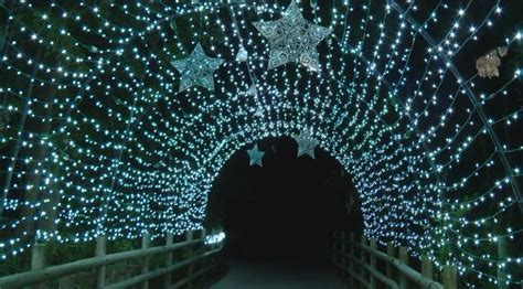 The Fresno Chaffee Zoo presents ZooLights, its annual 'magical, winter wonderland'