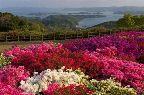 The Top 10 Things to Do in Sasebo