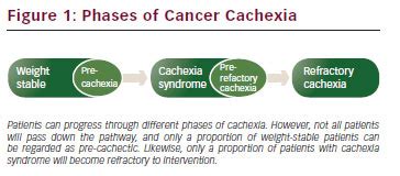 Prevention of Cachexia in Cancer - touchONCOLOGY