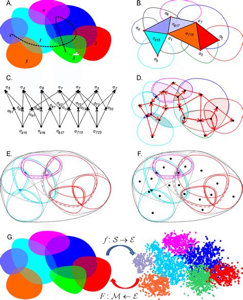 Discrete topological spaces and place field maps. (A) A schematic,... | Download Scientific Diagram