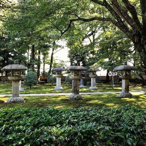 lighting the path | Japanese garden, Garden waterfall, Stone lantern