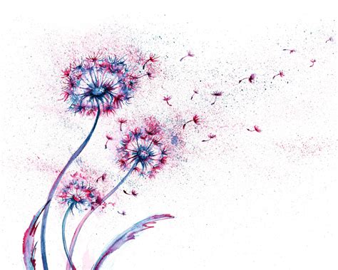 Abstract Dandelions watercolor Printmaking by Natalja Picugina | Artmajeur