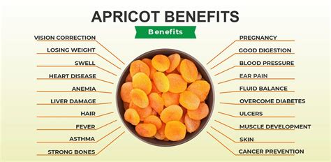 Apricot Benefits, Side Effect and Uses | by Apnapoint | Medium