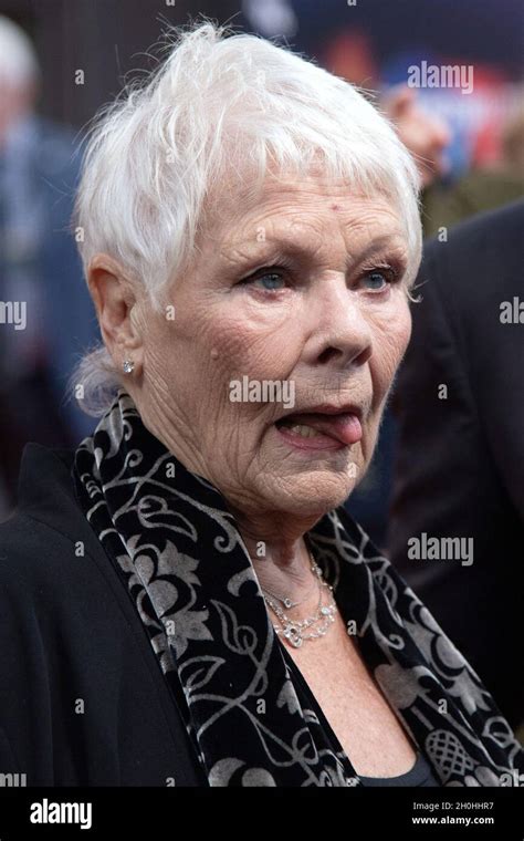 Judi Dench attending the Belfast Premiere as part of the 65th BFI ...