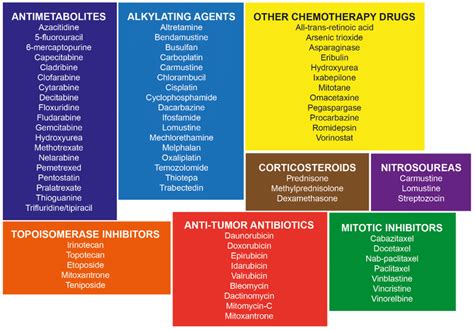 Classification of chemotherapeutic agents based on their mechanism of ...