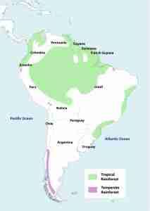 Amazon Rainforest Map