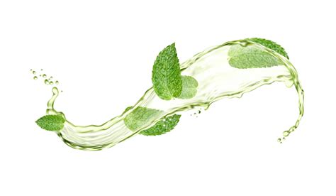 Green herbal tea splash and drops with mint leaves 20402378 Vector Art ...