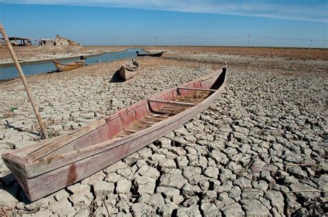 What Lives and Lurks at the Bottom of the Euphrates River? - A-Z Animals