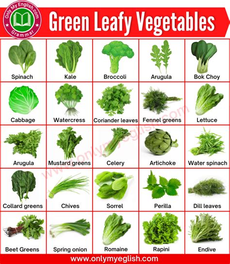 Green Leafy Vegetables Name in English with Pictures » OnlyMyEnglish | Green leafy vegetable ...