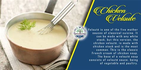 Chicken veloute soup | Cream of chicken soup, Soup, Chicken