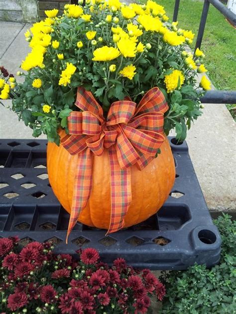 Pumpkin Mum!!! | Fall outside decor, Rustic fall wedding, Fall halloween