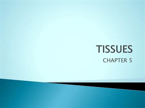 PPT - TISSUES PowerPoint Presentation, free download - ID:2182121